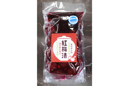 【数量限定】紅梅漬（甘梅漬け）280g [池田町観光協会 長野県 池田町 48110407] 梅 梅干し うめ 梅漬け おつまみ おにぎり