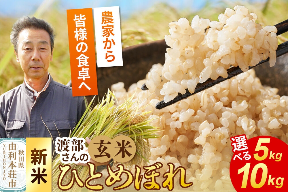 《令和8年産 新米》【玄米】 ＜通算5回 特A＞ ひとめぼれ【選べる 容量：5kg／10kg】農家直送 渡部さんのひとめぼれ [ひとめぼれ 新米 米 お米 こめ 玄米 ブランド米 食卓 おにぎり 秋田県産 秋田県 由利本荘市]