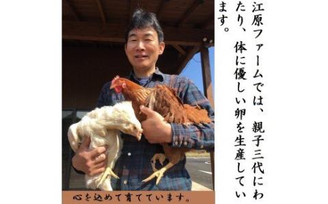 江原ファーム 地養卵＆アローカナハーフセット（計３０個） ふるさと納税 たまご タマゴ 生みたて 新鮮_AG07