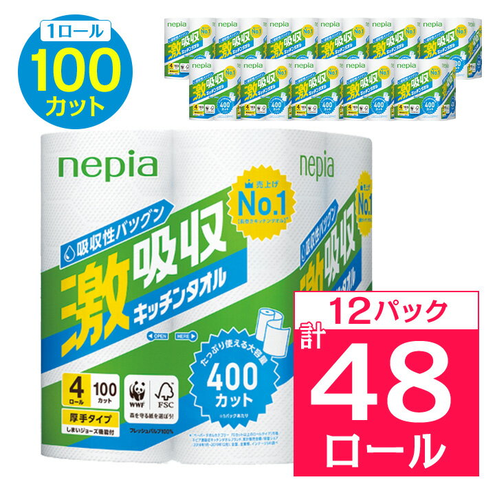 【ふるさと納税】ネピア激吸収キッチンタオル4ロール　2枚重ね　100カット　(12パック)_ 送料無料 キッチンペーパー 日用品 生活用品 まとめ買い ペーパータオル キッチン用品 厚手 【1209619】