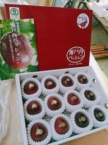 【先行受付】奄美大島産 パッションフルーツ 約4.8kg（化粧箱12個入り×4箱）＜ながむら農園＞