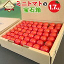 【ふるさと納税】まごころミニトマトの宝石箱 1.7kg 約80～110玉 ミニトマト とまと 野菜 大分県 竹田市 荻町産 九州産 国産 新鮮 送料無料【2024年7月上旬から11月下旬まで発送予定】