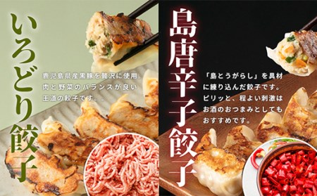 【定期便】7ヵ月連続 餃子工房いろどり食べ比べセット 冷凍生餃子 ぎょうざ ギョウザ 惣菜 F4H-0216