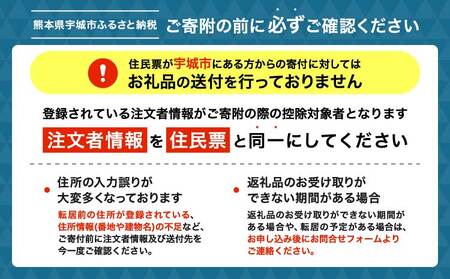 【1ヶ月毎2回定期便】九州産ごぼう茶 30包6袋