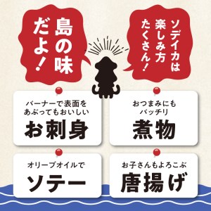 冷凍保存Ｏk！エメラルドブルーの美しい海で育ったおいしいソデイカ冷凍ブロック2キロ（7～8人前）！ W022-030u 魚 冷凍 イカ 加工品