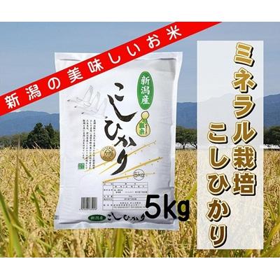 ふるさと納税 阿賀野市 【令和7年産先行受付】ミネラル栽培こしひかり 5kg