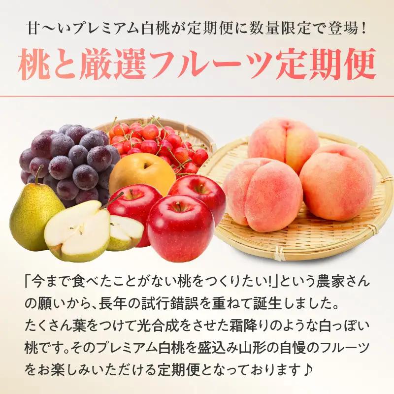 《先行受付》プレミアム白桃と5種便【定期便全5回】 060-T12