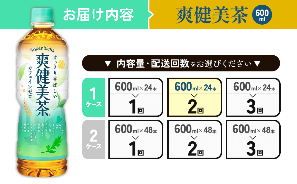 （2回定期便）爽健美茶 600ml PET【コカ・コーラ】ペットボトル 1ケース(24本) 定期便 2回(48本) セット お茶 カフェインゼロ ノンカフェイン ハトムギ ブレンド茶 宮崎県 えびの市 送料無料