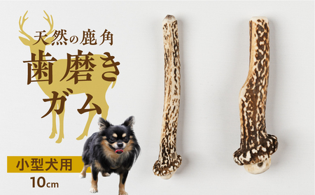 鹿肉ジャーキー1パック（犬用 猫用） 鹿角歯みがき（小型犬用）10cm 2本セット 犬用 猫用 ペット用品 ペットジャーキー 無添加 国産 鹿肉 野生 自然 [mt1802] 10000円 1万円