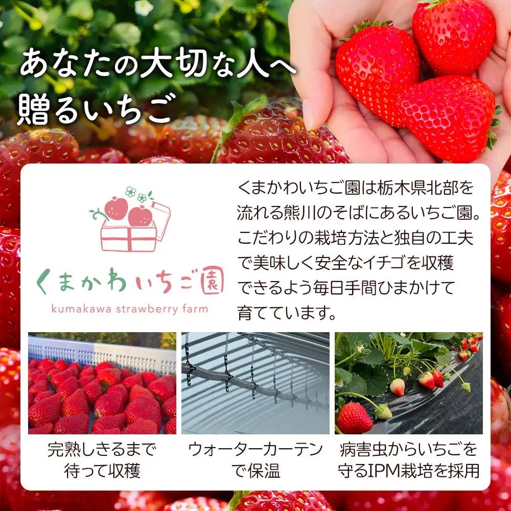 【先行予約受付】≪2027年1月発送≫【数量限定】黒箱 厳選4種の完熟いちご1箱セット ｜果物 いちご 朝取り 新鮮 ハート フルーツ デザート ストロベリー デザート スイーツ 苺 イチゴ 大田原市