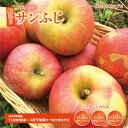 【ふるさと納税】【内容量が選択可能】訳あり サンふじ 約3kg(約7～14玉) 約5kg(約12～25玉) 約10kg(約24～50玉) 須坂市産《株式会社フルプロ》■2024年～2025年発送■※11月中旬頃～1月下旬頃まで順次発送予定 長野県 長野 須坂 信州 林檎 りんご わけあり 家庭用 果物