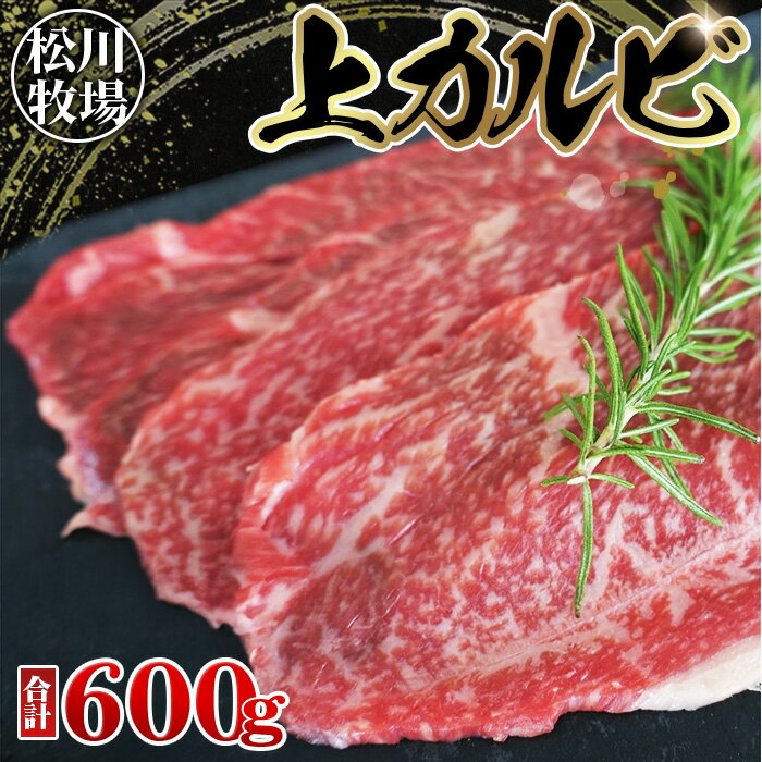 【ふるさと納税】【数量限定】松川牧場のこだわり牛肉 上カルビ 600g［No.139］／サンカクバラ フランク ボンショウ トモサンカク カイノミ インサイドから部位はおまかせ （おまかせ2部位）松川牧場