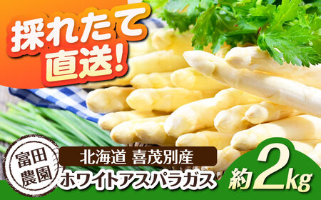 【先行予約】採れたて！ホワイトアスパラガス 約2kg アスパラ [AJAJ008]