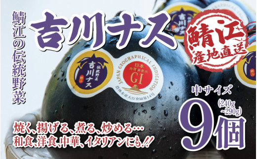 期間限定！　吉川ナス（中サイズ）1箱（9個入） [A-05906] / 丸ナス なす 茄子 伝統野菜 野菜