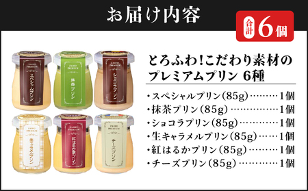 2495 【6年連続金賞】とろふわ！こだわり素材のプレミアムプリン6種6個 KN021-023-01 プリン 抹茶 ショコラ チーズ 紅はるか 生キャラメル スイーツ お菓子 詰め合わせ 財宝 ふるさ