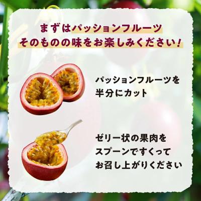 ふるさと納税 奄美市 【2026年先行予約】【農家直送】奄美大島産 パッションフルーツ 贈答用 1kg(秀品12個入り) |  | 02
