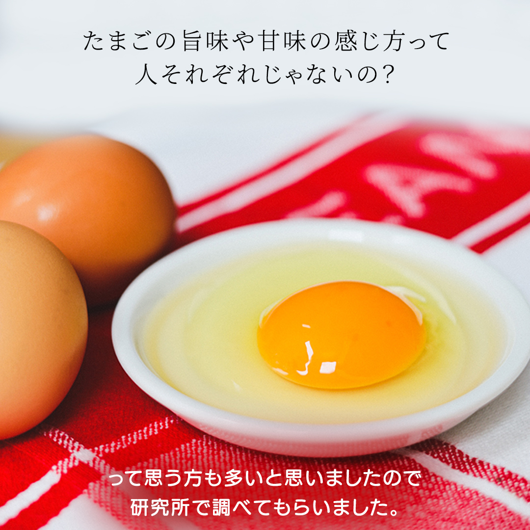 たまご 玉子 鶏卵 純国産鶏もみじ 平飼い卵 30個 (破損保証5個含む) 生産者 採れたて 新鮮 たまご 養鶏場より直送 (AJ023)