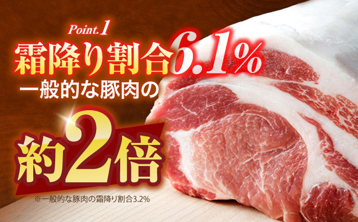 ハム・ソーセージ 瑞浪ボーノポーク ハム工房世界一記念セット 800g (冷凍) 瑞浪市 / きなぁた瑞浪 詰め合わせ ギフト [AZCI013]
