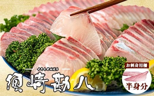高級カンパチ ｢須崎勘八｣ お刺身用(半身)  冷蔵 神経締め 刺身 お刺し身 高級魚 鮮魚 海鮮 魚介 かんぱち 一柵
