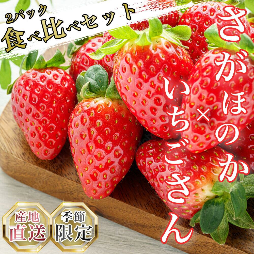 【ふるさと納税】いちご食べ比べ　いちごさん　さがほのか（DV104）