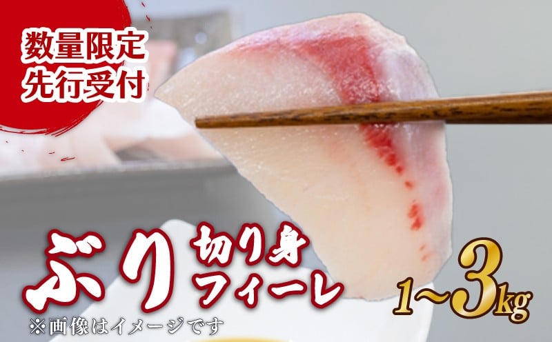 
            ぶり 切り身 フィーレ 1kg～3kg ブリしゃぶ 鰤 刺身 ぶり 刺身 ブリしゃぶ ぶり ブリ 切り身 魚 魚介 国産 おかず お弁当 料理 ご飯 惣菜 しゃぶしゃぶ 照り焼き ブリ刺身 刺し身 便利 たっぷり 海鮮丼 三重県 南伊勢町 伊勢 志摩 11000円 一万一千円 20000円 二万円 30000円 三万円 外湾漁業協同組合
          