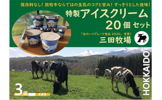 【3ヵ月定期便】アイス 三田牧場 特製 アイスクリーム 4種類 20個セット ミルク チョコレート いちごみるく ラムレーズン