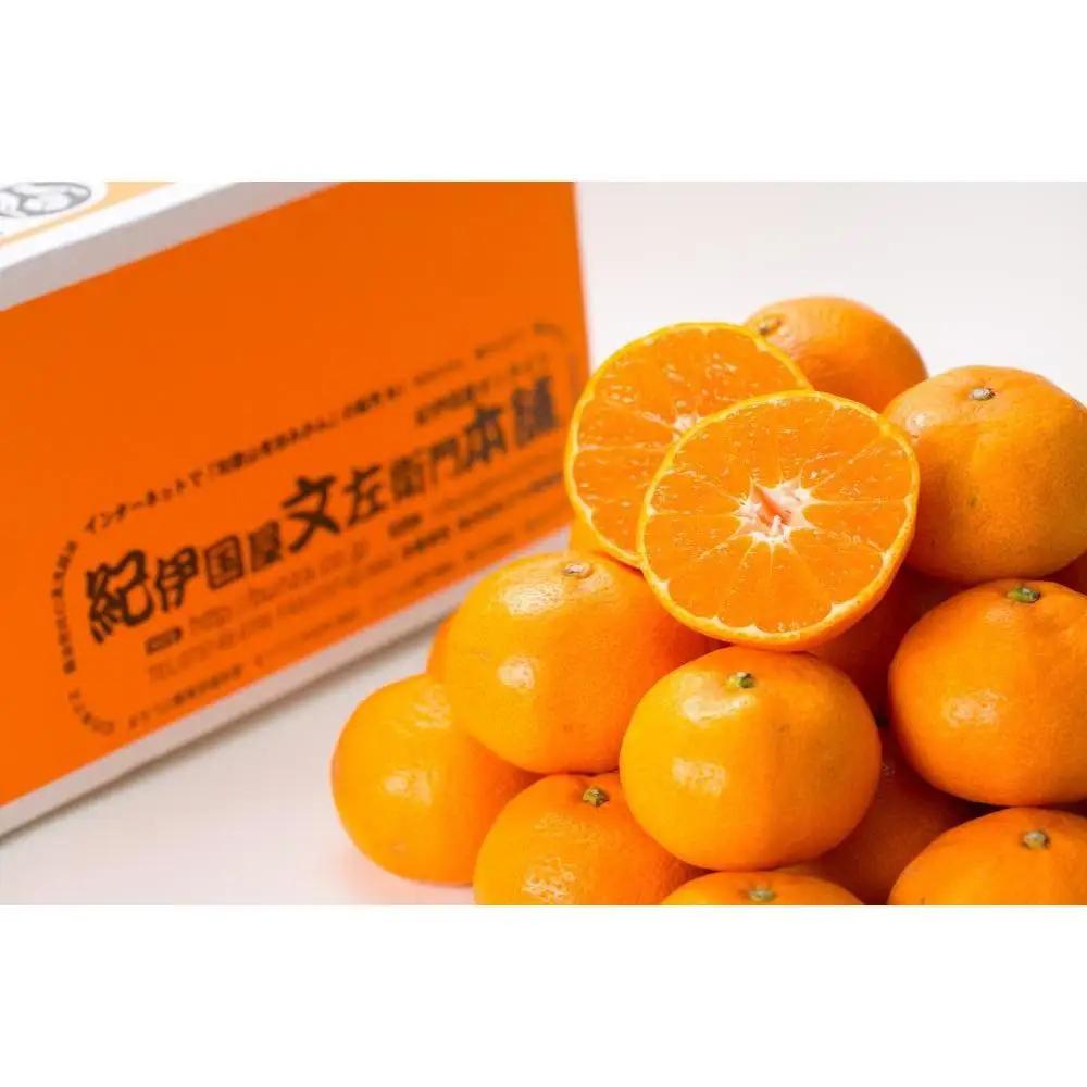 ブランド有田みかん［Ｓサイズ］秀品 5kg／産地直送／薄皮で甘い美味しい和歌山県産／紀伊国屋文左衛門本舗