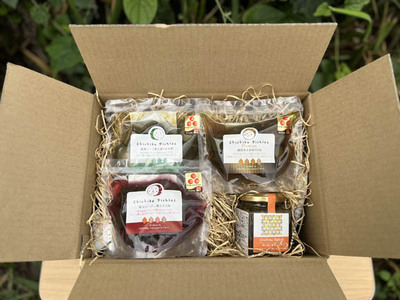 秩父ピクルス4種のミニアソート No.502