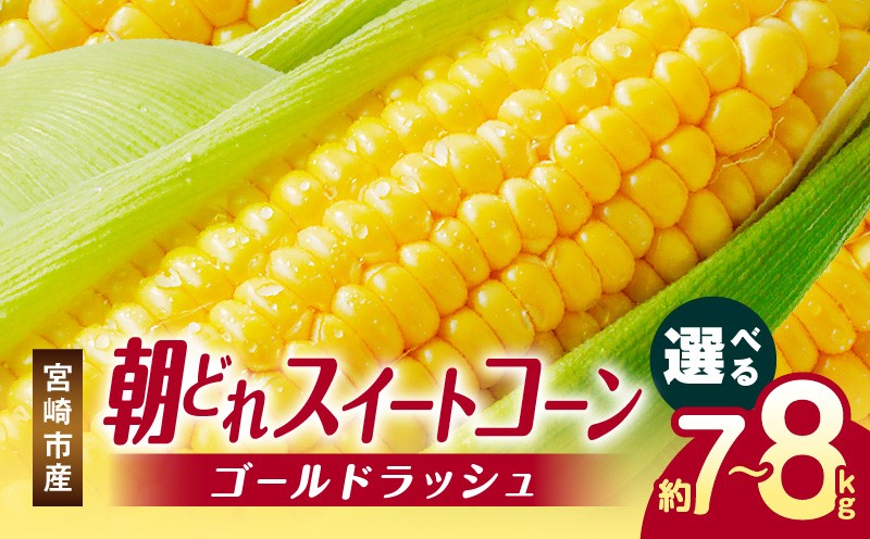 
            《2026年発送先行予約》【選べる内容量】【数量・期間限定】宮崎市産朝どれスイートコーン（ゴールドラッシュ）_M320-001-SKU
          