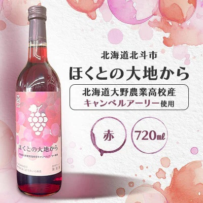 
            赤ワイン「ほくとの大地から」キャンベルアーリー720ml 【 ふるさと納税 人気 おすすめ ランキング ワイン 赤ワイン ライト 720ml キャンベルアーリー 葡萄 ぶどう 果実酒 お酒 ギフト 贈答 贈り物 プレゼント お祝い 北海道 北斗市 送料無料 】 HOKJ009
          