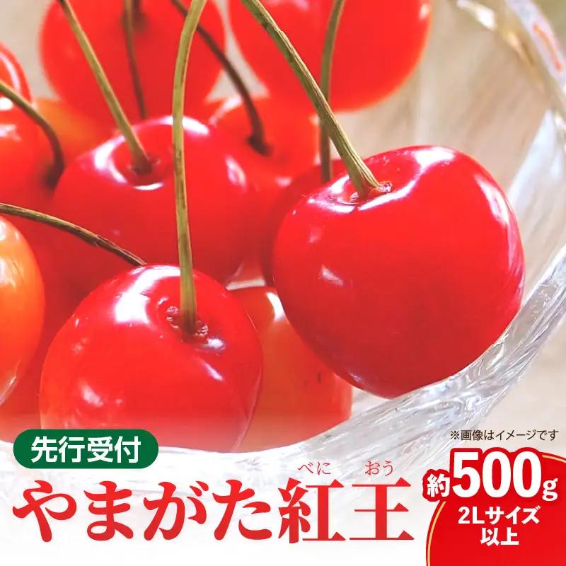 《先行受付》さくらんぼ 山形紅王（やまがたべにおう）約500g (2Lサイズ以上) 【2026年6月中旬～順次発送予定】 022-012