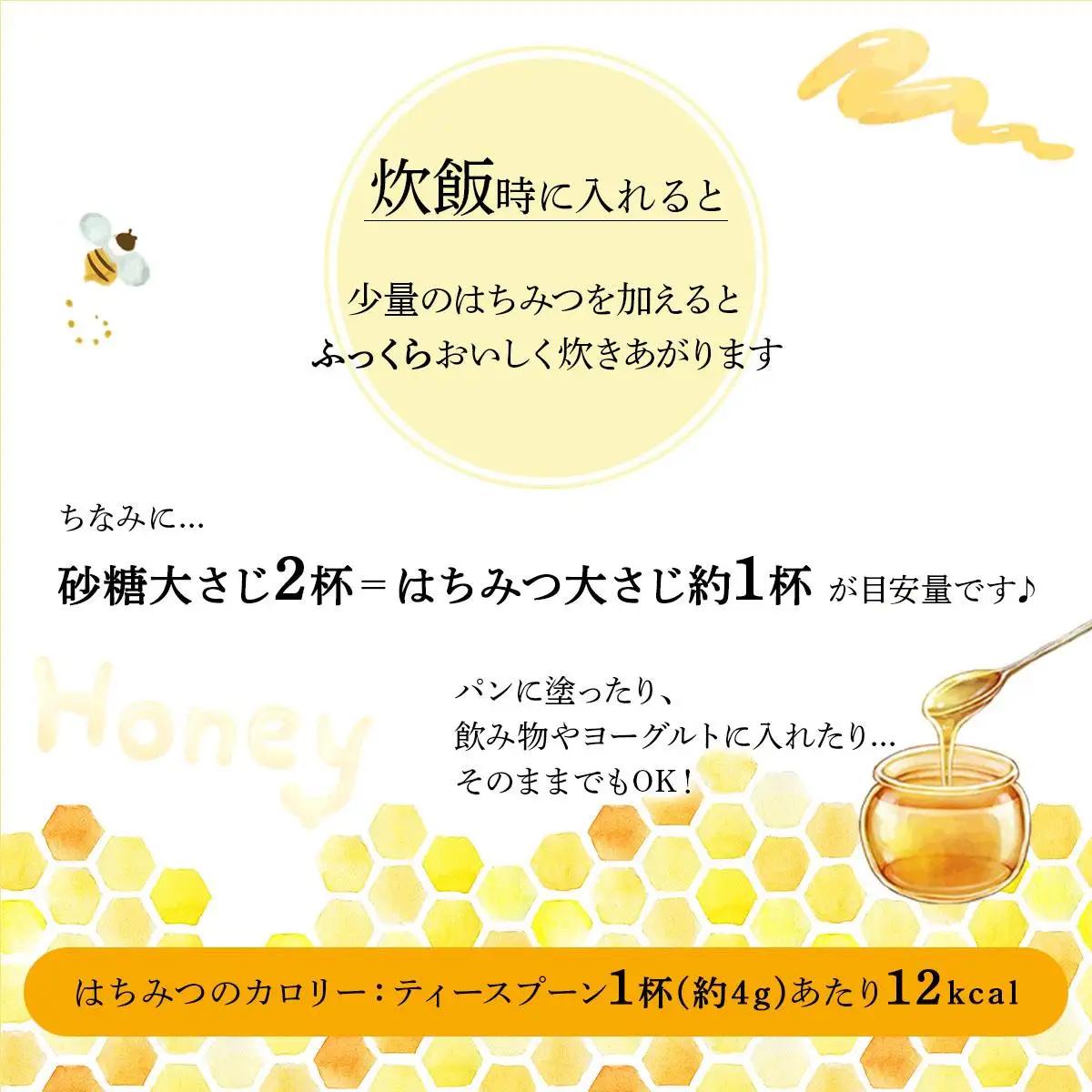 山田養蜂場　里山の百花蜂蜜300g（プラ容器入）×3本 （64253）【006-a066】