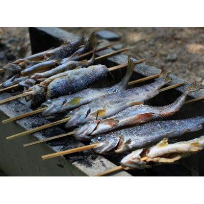 渓流釣り体験【ファミリー入場券】【1672833】