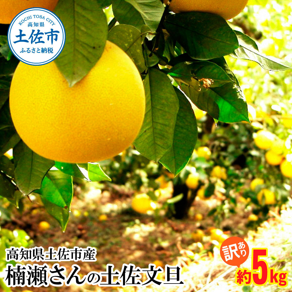 
                  【先行予約】楠瀬さんの土佐文旦 訳あり 約5kg 約5キロ L～4L〈2027年2月15日～2027年4月5日発送〉 ぶんたん ブンタン フルーツ 柑橘 みかん 果物 くだもの 柑橘類 デザート おやつ 甘い わけあり ご自宅用【まる庄果樹園】[BQAF013]
                