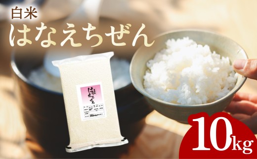 はなえちぜん 白米 5kg×2袋 真空パック ハナエチゼン 米 簡易梱包 エコ梱包