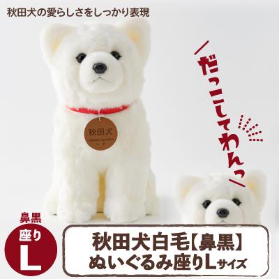 ふるさと納税 大館市 秋田犬白毛(鼻黒)ぬいぐるみ　座りLサイズ
