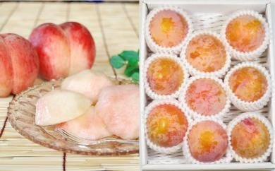 08-02-011　プラム(秋姫1.2kg)&白桃系桃2kgセット
