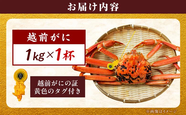 【先行予約/11月18日より順次配送】【訳あり】越前がに 1kg×1杯 茹で 福井県産ズワイガニ 脚折れ・欠け / かに カニ 蟹 越前ガニ ズワイガニ ボイル / 小浜市 / 一進わかさ【配送不可地