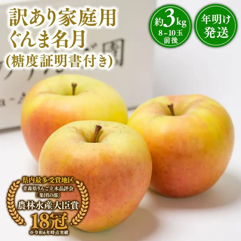 りんご 家庭用 ぐんま名月 約3kg りんご