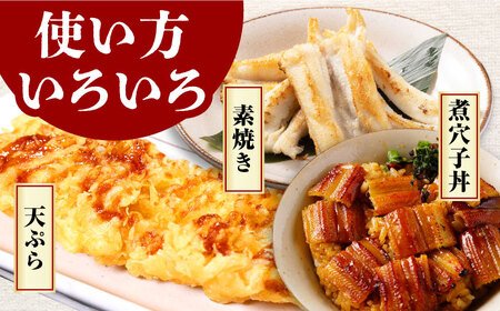 対馬産　あなご　天ぷら・煮付用　5パック　《対馬市》【対馬新鮮組】　冷凍配送　小分け　アナゴ　新鮮　海鮮　冷凍 簡単調理[WCS011]