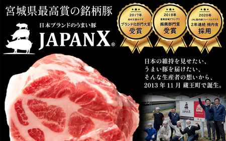 JAPAN X バラエティセット 第2弾 6種 2.5㎏　豚肉 豚 ブランド豚 小分け バラエティセット 豚こま 豚バラ 豚ロース ひき肉 ジャパンエックス 蔵王 人気　【04301-0888】