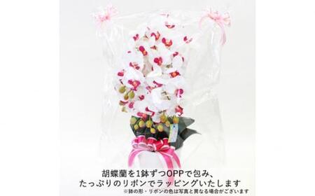 No.832-03 造花 シルクフラワーの胡蝶蘭の鉢植 5本立 CT触媒 ライトパープル