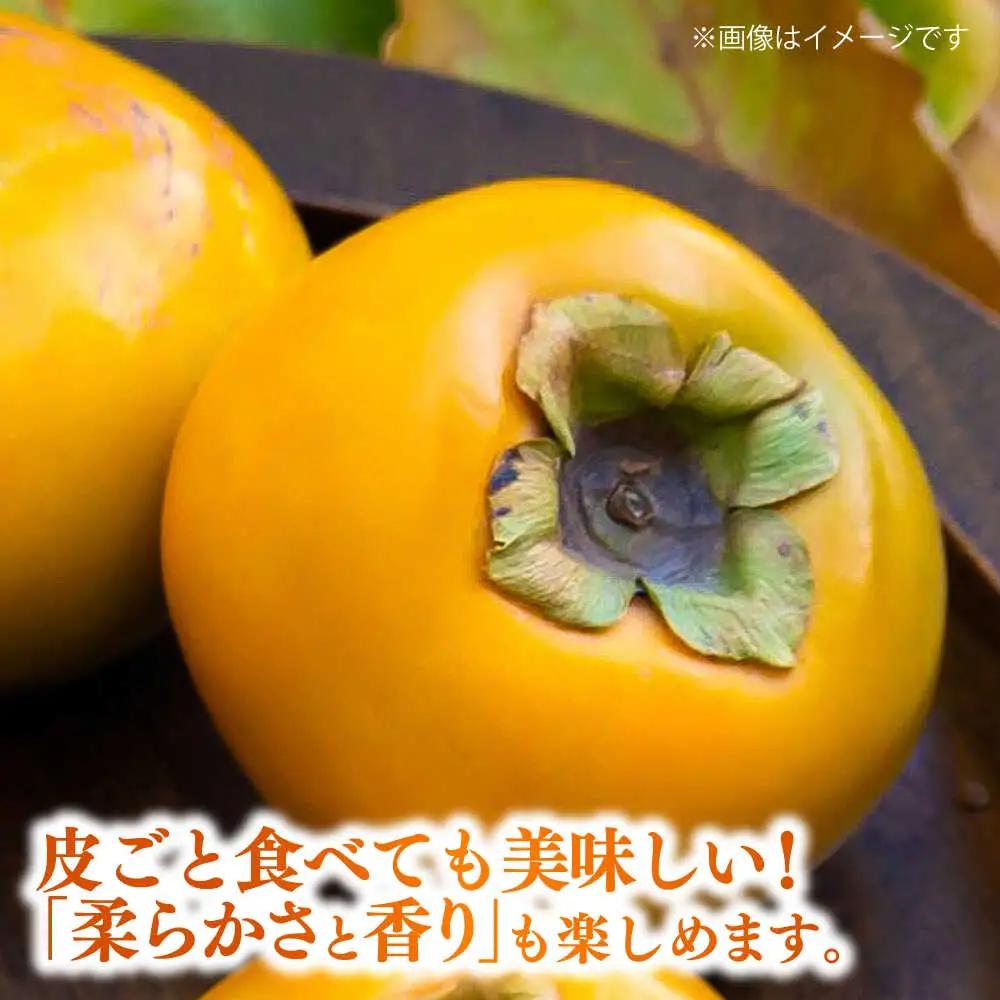 【先行予約】太秋柿 約3kg 柿 カキ フルーツ 果物 秋 【日本フルーツ株式会社】 [ZFJ020]