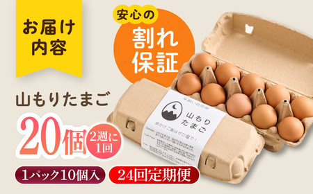 P385-20 【月2回定期便】山もりたまご20個 月2回(2週に1回) 12ヶ月