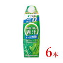 【ふるさと納税】伊藤園　毎日1杯の青汁　すっきり無糖「1000ml×6本」【飲料 青汁 大麦若葉 ケール 緑茶 ミックス 無糖 すっきり 健康維持 長野県 安曇野市 信州】