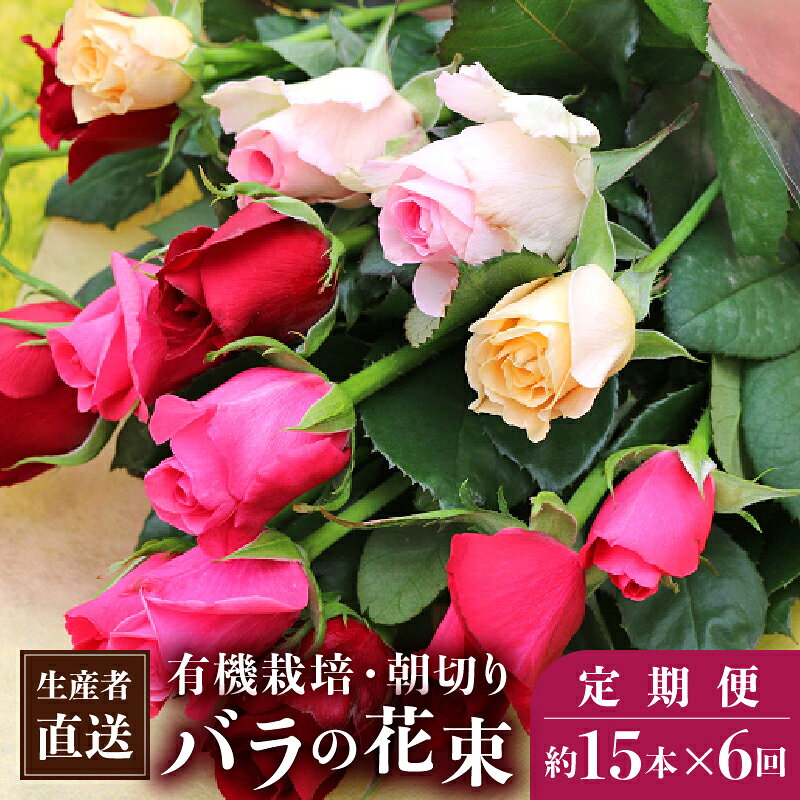 【ふるさと納税】朝切りバラの花束 約15本×6回 定期便 赤・ピンク・黄色ミックス 約50～60cm 小山農園 埼玉県白岡市 | 有機栽培 生産者直送 花持ち ブーケ 薔薇 ばら ローズ ギフト 記念日 フラワーギフト 誕生日 母の日 敬老の日 贈り物