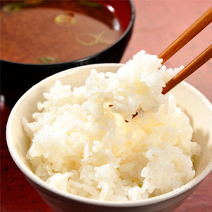 精米 20kg (5kg×4袋) つきあかり【令和6年産】お米 米 ご飯 城里町 桂農産【配送不可地域：離島】 (AX010)