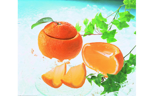 萩夏蜜柑冷菓 柑乃雫　｜HG000527