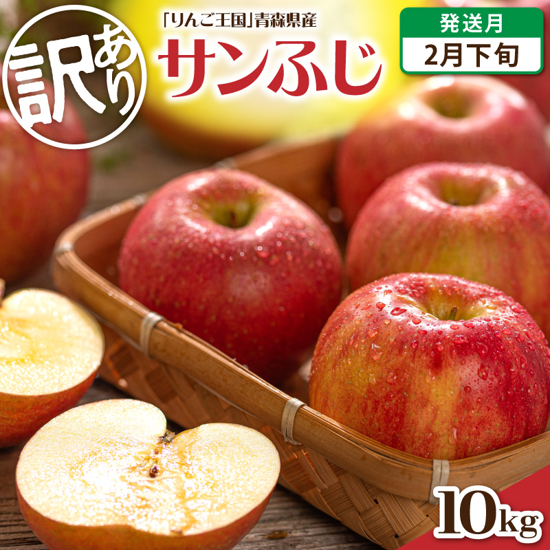 【2027年2月下旬発送】【訳あり】りんご 約10kg サンふじ 青森産