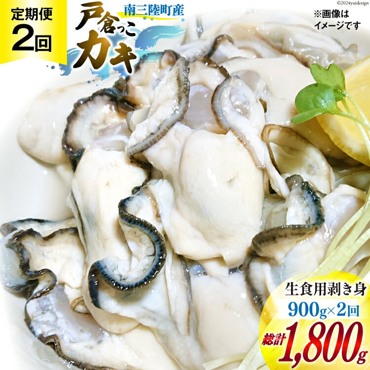 【ふるさと納税】 【期間限定発送】 2回 定期便 牡蠣 生食 南三陸町産 戸倉っこカキ 300g×3本 計900g [宮城県漁業協同組合志津川支所 宮城県 南三陸町 30an0004] 生カキ 生食用 剥き身 かき カキ 生ガキ むき身 むき